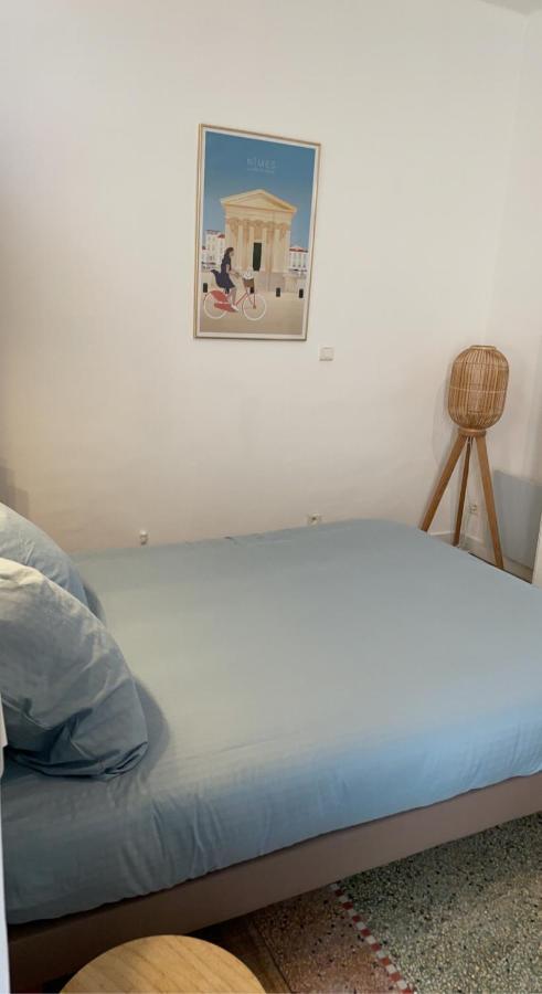 L’écrin des calquières Appartamento Nîmes Esterno foto